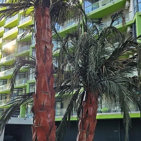 Premium Mamaia Nord Complex Cu Piscina Incalzita Sauna Gym Jacuzzi Apartment Navodari